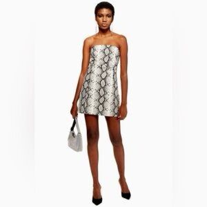 Topshop Snakeskin Dress